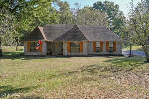 6470 Scenic Hollow Road, Walls, MS 38680