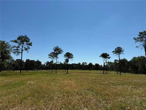84ac NW 193RD ST, MICANOPY, FL 32667
