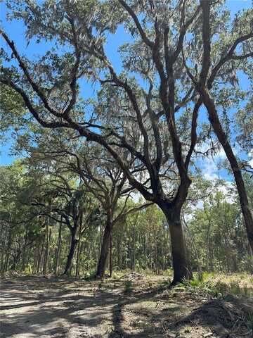 84ac NW 193RD ST, MICANOPY, FL 32667