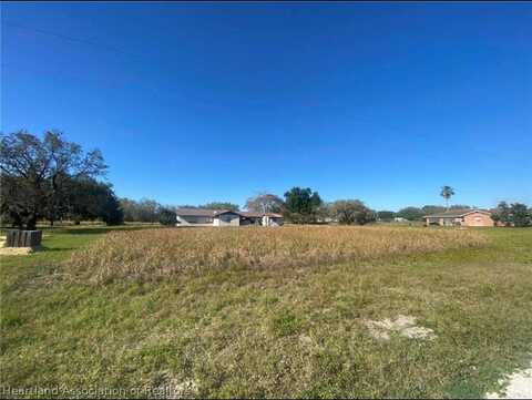 1636 W SALINAS ROAD, AVON PARK, FL 33825