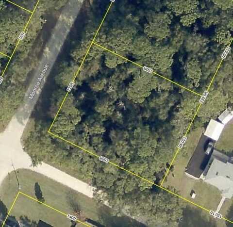 MONROE AVE, MASARYKTOWN, FL 34604