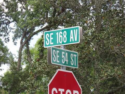 TBD SE 168TH AVENUE, OCKLAWAHA, FL 32179