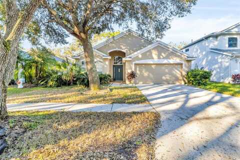 18124 ANTIETAM COURT, TAMPA, FL 33647