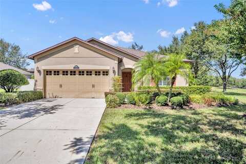 21425 SULLIVAN RANCH BOULEVARD, MOUNT DORA, FL 32757