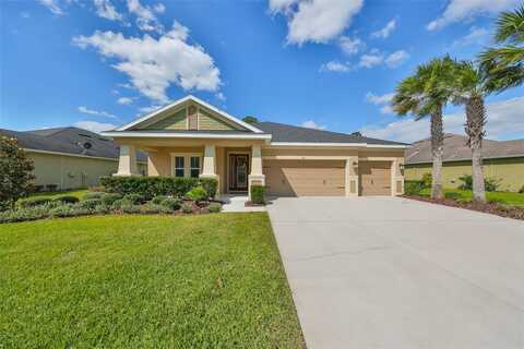 1543 TILTED CYPRESS PLACE, WESLEY CHAPEL, FL 33544