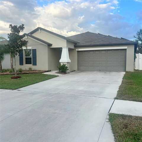 13355 WILLOW BLUESTAR LOOP, RIVERVIEW, FL 33579