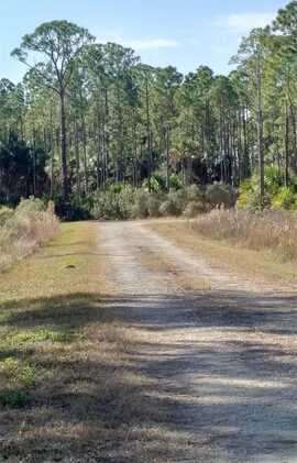 Lot 7 SW 104 STREET, CEDAR KEY, FL 32625