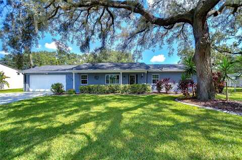 11409 DONNEYMOOR DRIVE, RIVERVIEW, FL 33569