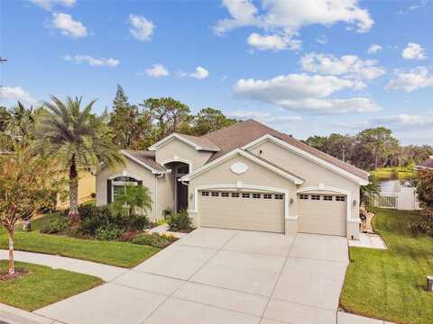 3355 DIAMOND FALLS CIRCLE, LAND O LAKES, FL 34638