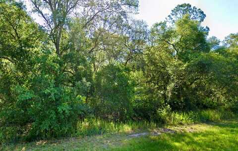 SE 105 PLACE, OCKLAWAHA, FL 32179