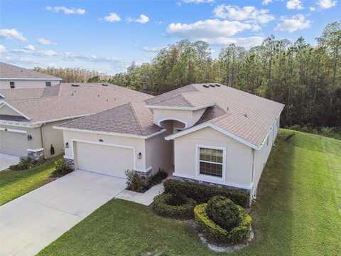 15354 SWEET SPRINGS BEND, ODESSA, FL 33556