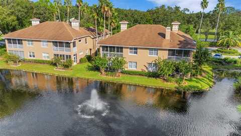 4263 PRESERVE PLACE, PALM HARBOR, FL 34685