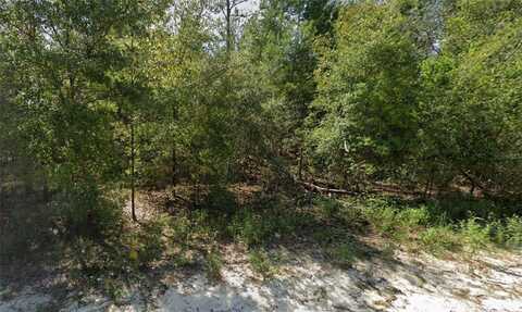 Lot 85 NE 83RD PLACE, BRONSON, FL 32621