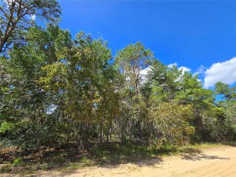 SELMA AVENUE, INTERLACHEN, FL 32148