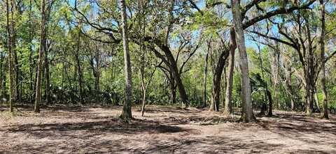 62ac NW 193RD ST, MICANOPY, FL 32667