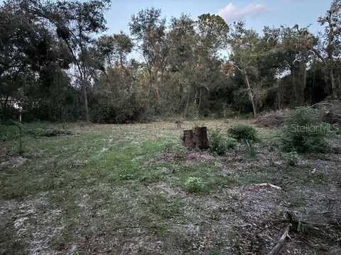 STUMPKNOCKER DRIVE, FRUITLAND PARK, FL 34731