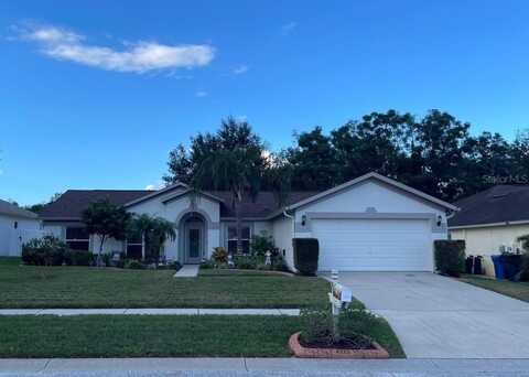 4223 AMBER RIDGE LANE, VALRICO, FL 33594