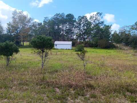 2750 SE 151ST AVENUE, MORRISTON, FL 32668