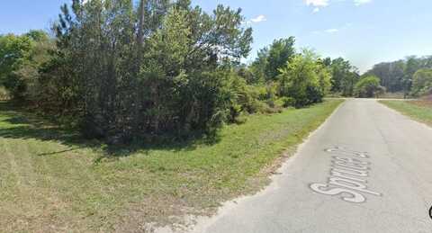 Lot 22 SPRUCE DRIVE, GEORGETOWN, FL 32139