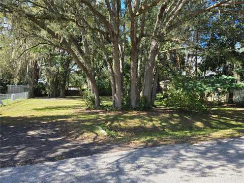 SE 99TH TERRACE, SUMMERFIELD, FL 34491