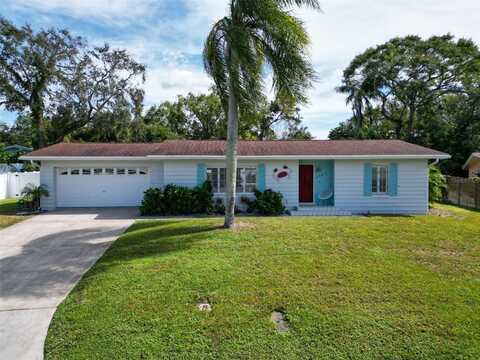 2307 DEMARET DRIVE, DUNEDIN, FL 34698