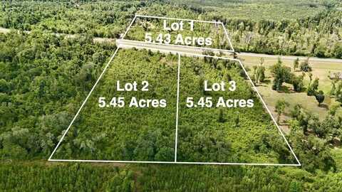 (LOT 2)HIGHWAY 90, COTTONDALE, FL 32431