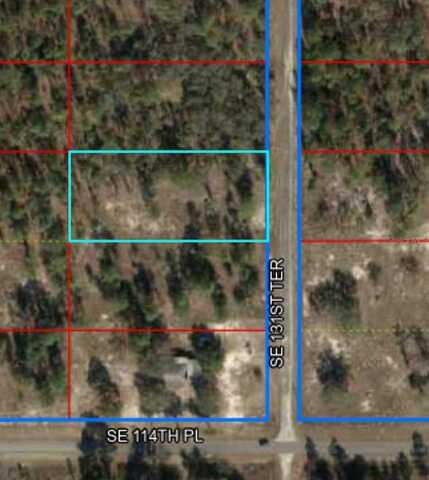 Lot 12 SE 131ST TERRACE, DUNNELLON, FL 34431