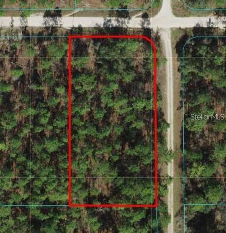 Tbd SW 78TH PLACE, DUNNELLON, FL 34432