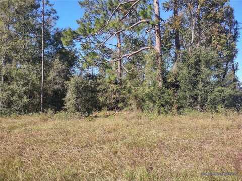 Tbd NE 140 AVENUE, WILLISTON, FL 32696