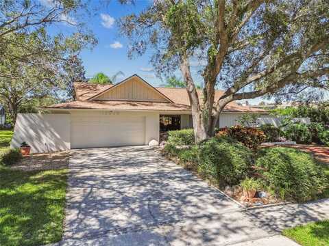 13906 VILLAGE LAKE PLACE, TAMPA, FL 33624