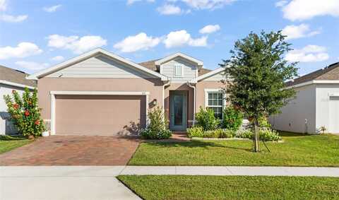 317 WINTER BLISS LANE, MOUNT DORA, FL 32757