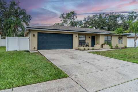 739 ISLETON DRIVE, BRANDON, FL 33511