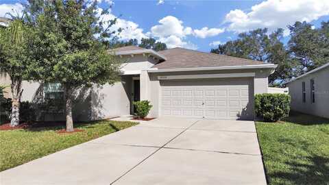 10204 STRAWBERRY TETRA DRIVE, RIVERVIEW, FL 33578