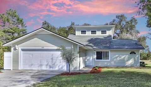 10221 ELGIN BOULEVARD, SPRING HILL, FL 34608