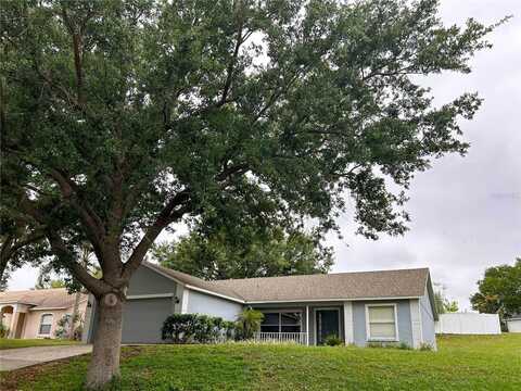 10417 LAKE HASSON CIRCLE, CLERMONT, FL 34711