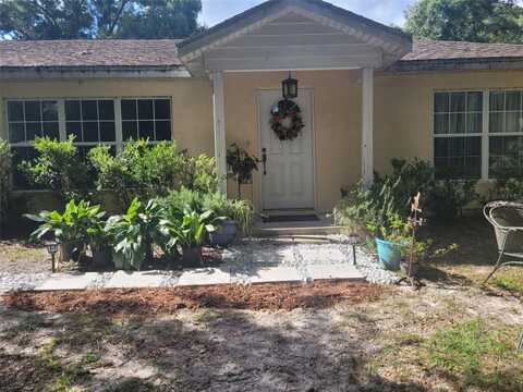 399 NE 155 PLACE, CITRA, FL 32113