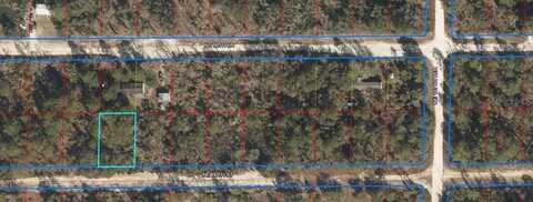 00 NE 66TH STREET, WILLISTON, FL 32696