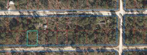 66TH, WILLISTON, FL 32696