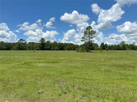 111ac - Ne 130th Ct Rd NE 130TH CT RD, FORT MC COY, FL 32134