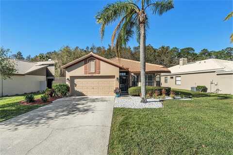 3698 DARSTON STREET, PALM HARBOR, FL 34685