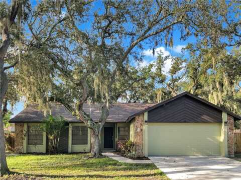 1001 ELM GROVE LANE, VALRICO, FL 33596