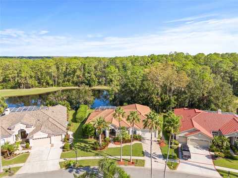 12017 BREWSTER DRIVE, TAMPA, FL 33626