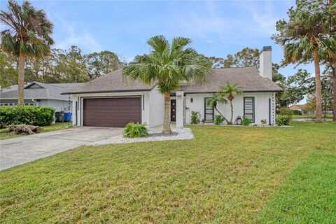 11806 SPANISH LAKE DRIVE, TAMPA, FL 33635