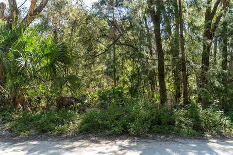 NE 358TH AVE, OLD TOWN, FL 32680