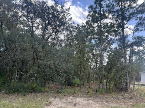 7370 N VERONICA DRIVE, CITRUS SPRINGS, FL 34433