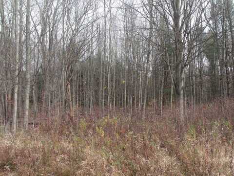 Lot 0001 Palms, Casco, MI 48064