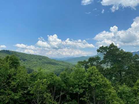 LT 74/75 Butternut Lane, HAYESVILLE, NC 28904