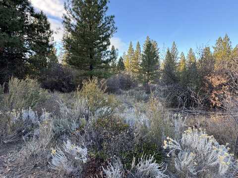 Treeland Road, Chiloquin, OR 97624