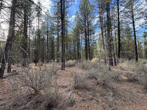 Buckhorn Lane, Chiloquin, OR 97624