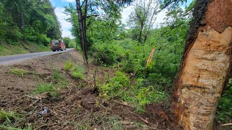 State Highway 38, Drain, OR 97435